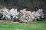Ostern am Rosenteich (Foto: Peter Blei)