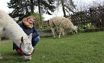 Unsere Redakteurin der Kyffhäuser Nachrichten, Eva Maria Wiegand, besuchte die Unstrut-Lamas in Herbsleben (Foto: Alina Kroll) Unsere Redakteurin der Kyffhäuser Nachrichten, Eva Maria Wiegand, besuchte die Unstrut-Lamas in Herbsleben (Foto: Alina Kroll)