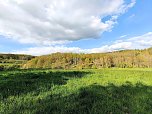 Sturmsch&auml;den,viel Wasser und sehr gute Fernsicht am ehemaligen Wald bei Urbach (Foto: Peter Blei)