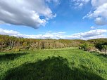 Sturmsch&auml;den,viel Wasser und sehr gute Fernsicht am ehemaligen Wald bei Urbach (Foto: Peter Blei)