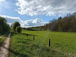 Sturmsch&auml;den,viel Wasser und sehr gute Fernsicht am ehemaligen Wald bei Urbach (Foto: Peter Blei)