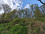Sturmsch&auml;den,viel Wasser und sehr gute Fernsicht am ehemaligen Wald bei Urbach (Foto: Peter Blei)