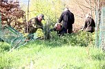 B&auml;ume im Ellricher Stadtwald gepflanzt (Foto: privat)