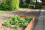 Die Gem&uuml;seackerdemie am F&ouml;rderzentrum Pestalozzi (Foto: agl)