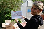 Die Gem&uuml;seackerdemie am F&ouml;rderzentrum Pestalozzi (Foto: agl)