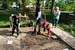 Die Gem&uuml;seackerdemie am F&ouml;rderzentrum Pestalozzi (Foto: agl)