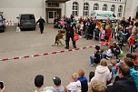 30 Jahre THW auf dem Petersberg (Foto: agl)