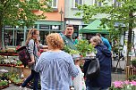 Gr&uuml;nes innenstadtfest in Bad Langensalza  (Foto: oas)