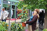 Gr&uuml;nes innenstadtfest in Bad Langensalza  (Foto: oas)