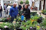 Gr&uuml;nes innenstadtfest in Bad Langensalza  (Foto: oas)