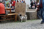 Gr&uuml;nes innenstadtfest in Bad Langensalza  (Foto: oas)