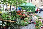 Gr&uuml;nes Innenstadtfest in Bad Langensalza (Foto: oas)