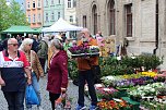 Gr&uuml;nes Innenstadtfest in Bad Langensalza (Foto: oas)