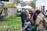 Gr&uuml;nes Innenstadtfest in Bad Langensalza (Foto: oas)