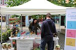 Gr&uuml;nes Innenstadtfest in Bad Langensalza (Foto: oas)