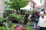 Gr&uuml;nes Innenstadtfest in Bad Langensalza (Foto: oas)
