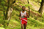 Startschuss f&uuml;r den 10. Harztorlauf (Foto: agl)