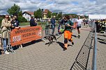 Zieleinlauf zum 10. Harztorlauf (Foto: agl)