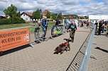 Zieleinlauf zum 10. Harztorlauf (Foto: agl)