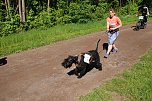 Startschuss f&uuml;r den 10. Harztorlauf (Foto: agl)