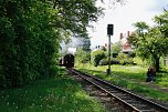 Startschuss f&uuml;r den 10. Harztorlauf (Foto: agl)