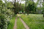 Im Park Hohenrode feierte man am Sonntag Parkfest und Parknick (Foto: F&ouml;rderverein Park Hohenrode)