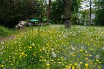 Im Park Hohenrode feierte man am Sonntag Parkfest und Parknick (Foto: F&ouml;rderverein Park Hohenrode)
