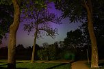 Polarlichter im Schlosspark Sondershausen (Foto: Jana Gro&szlig;)