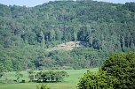 Peter Blei unterwegs oberhalb von Steigerthal (Foto: Peter Blei)