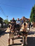 Besuch auf dem Ponyhof (Foto: Manfred Albrecht)