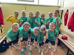 Handball-Ergebnisdienst (Foto: NSV) Handball-Ergebnisdienst (Foto: NSV)