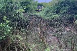 Unfall bei Nordhausen (Foto: S.Dietzel)