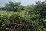 Unfall bei Nordhausen (Foto: S.Dietzel)