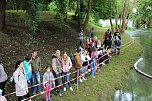An der Seufzerallee heute Vormittag (Foto: oas) An der Seufzerallee heute Vormittag (Foto: oas)