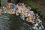 An der Seufzerallee heute Vormittag (Foto: oas) An der Seufzerallee heute Vormittag (Foto: oas)