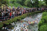 An der Seufzerallee heute Vormittag (Foto: oas) An der Seufzerallee heute Vormittag (Foto: oas)