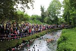An der Seufzerallee heute Vormittag (Foto: oas) An der Seufzerallee heute Vormittag (Foto: oas)