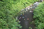 An der Seufzerallee heute Vormittag (Foto: oas) An der Seufzerallee heute Vormittag (Foto: oas)