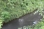 An der Seufzerallee heute Vormittag (Foto: oas) An der Seufzerallee heute Vormittag (Foto: oas)