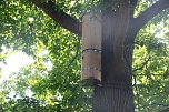 Kreative Ideen im Schulgarten des F&ouml;rderzentrums Pestalozzi (Foto: agl)
