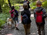 15 Gruppen sind auf Entdeckermission (Foto: Katja Westermann-Credo)