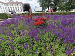 Gr&uuml;nanlagen in Nordhausen (Foto: P.Blei)