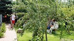 Offener Garten in Uthleben (Foto: nnz)