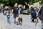 Farbenfroher Festumzug zum 211. Brunnenfest in Bad Langensalza (Foto: Eva Maria Wiegand)