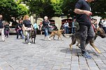 Farbenfroher Festumzug zum 211. Brunnenfest in Bad Langensalza (Foto: Eva Maria Wiegand)