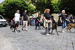 Farbenfroher Festumzug zum 211. Brunnenfest in Bad Langensalza (Foto: Eva Maria Wiegand)