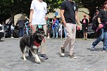 Farbenfroher Festumzug zum 211. Brunnenfest in Bad Langensalza (Foto: Eva Maria Wiegand)