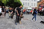 Farbenfroher Festumzug zum 211. Brunnenfest in Bad Langensalza (Foto: Eva Maria Wiegand)