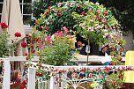 211. Brunnenfestumzug in Bad Langensalza mit vielen fr&ouml;hlichen Akteuren (Foto: Eva Maria Wiegand)