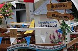 211. Brunnenfestumzug in Bad Langensalza mit vielen fr&ouml;hlichen Akteuren (Foto: Eva Maria Wiegand)
